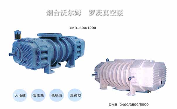 罗茨真空泵图片/罗茨泵图片