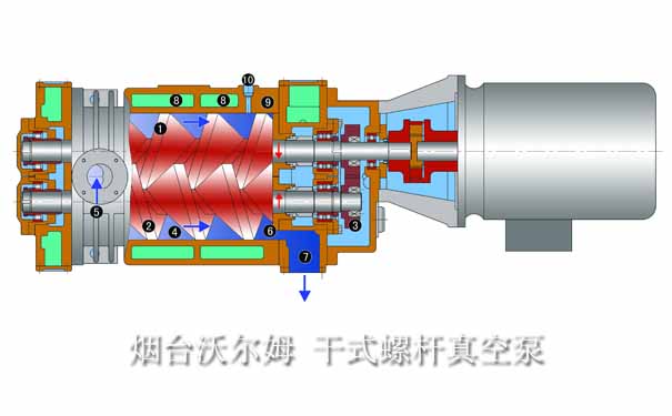 烟台沃尔姆干式螺杆真空泵图片