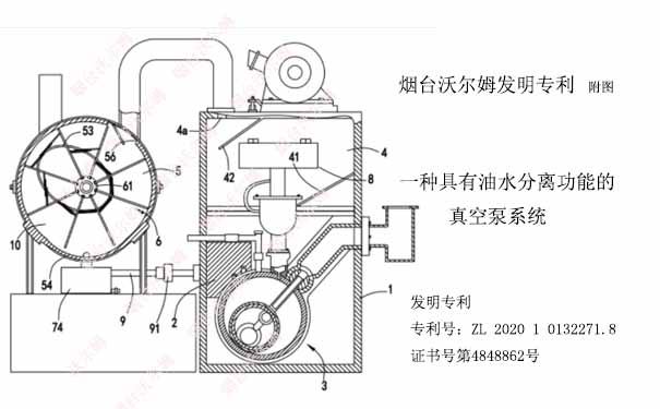 具有油水分離功能的真空泵系統(tǒng)的結構示意圖